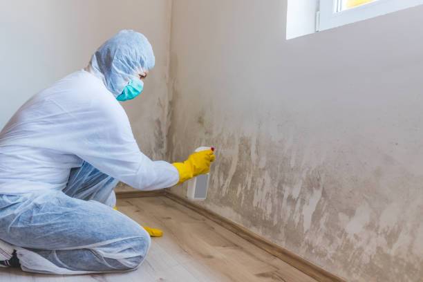 Licensed Commercial Mold Remediation service in Newton, NC - 24 Hour Mold Removal