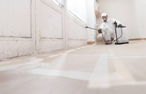 24/7 Emergency Commercial Mold Remediation experts in Newton, NC