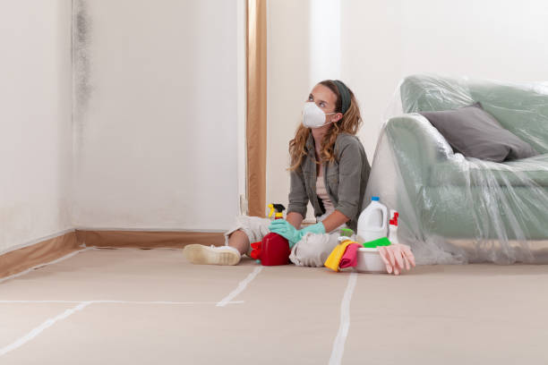 Reliable Commercial Mold Remediation contractor in Newton, NC by 24 Hour Mold Removal