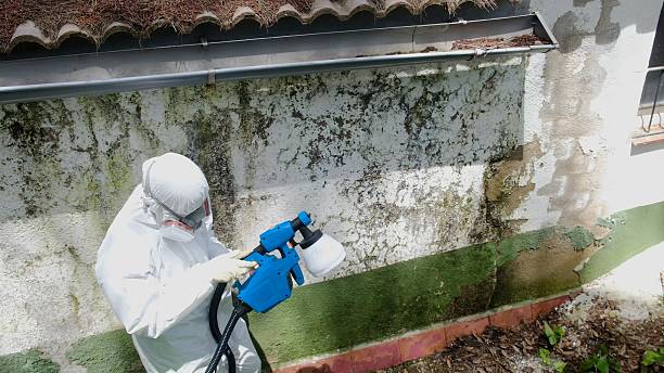 Top rated local Commercial Mold Remediation specialists in Newton, NC